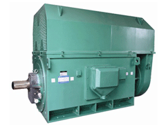 水城Y系列6KV高压电机
